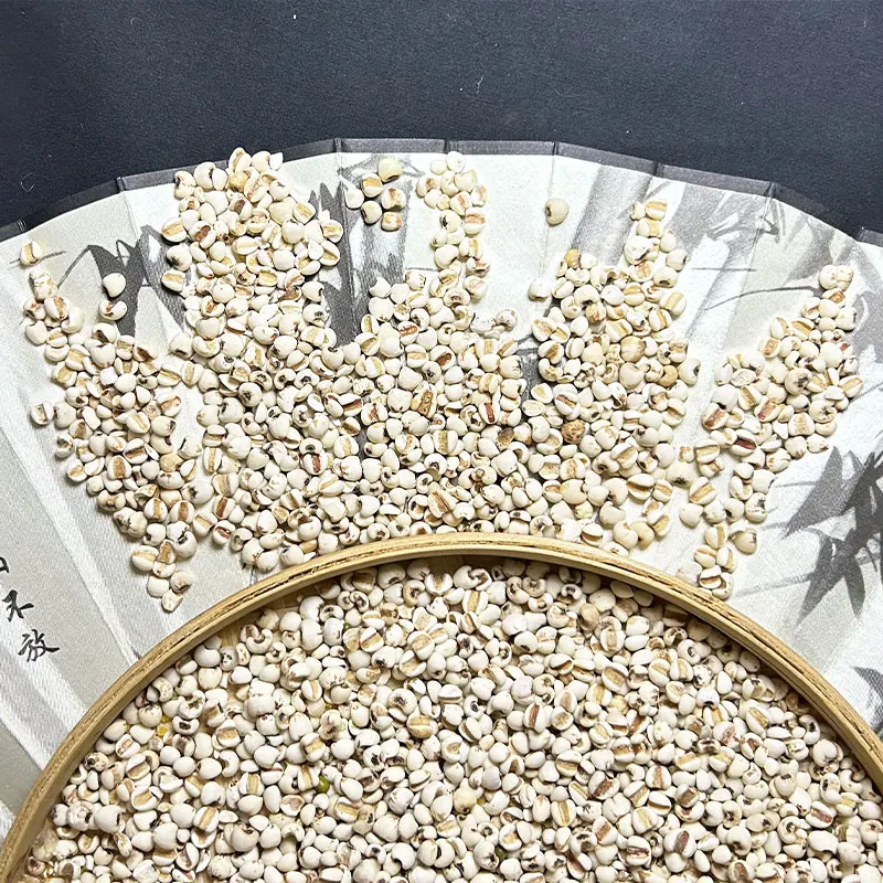 High Quality Organic White Chia Seeds Grain For Food Use Packed In 1Kg Barley rice