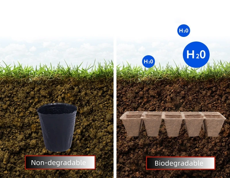 Best Selling Recycled Garden Starter Set for Herb & Flower Growing Includes Bonsai Planters & Pots