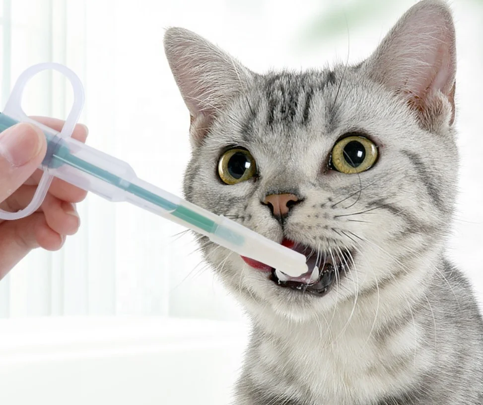 plastic pet dog cat feeding kit for needle tube type medicine feeder