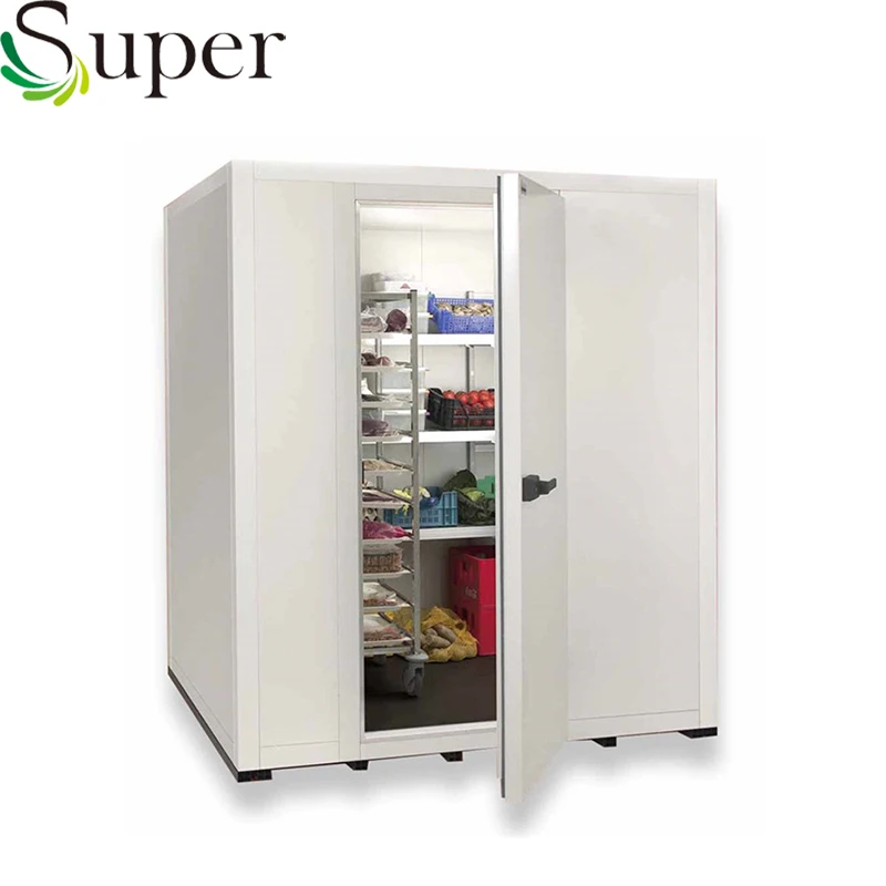 
Used Blast Freezer Fish Meat Chicken Cold Room for Sale 