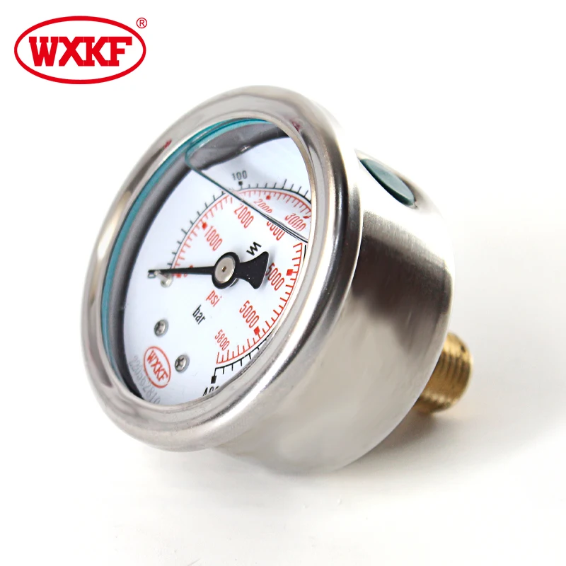 china YN40series  bottom connection Shockproof pressure gauges