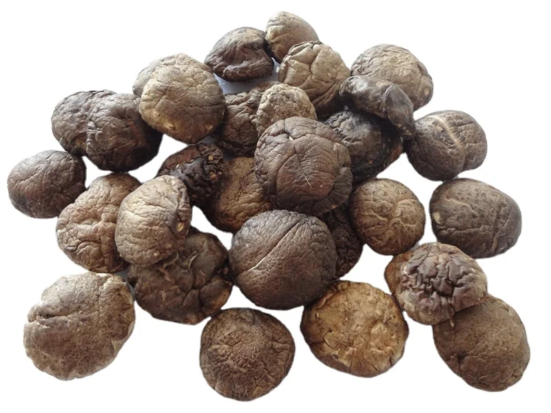 Healthy  Organic dried shiitake mushrooms factory price whole slice 1kg Lentinus edodes