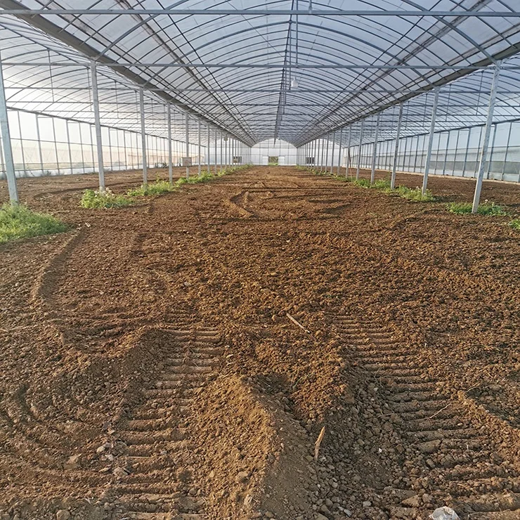 Janio New Product Wren Nourishing and Fattening Bird Feed