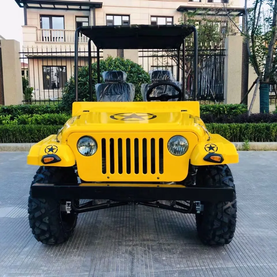 
Factory Direct Sell 2 Person 200CC Mini Jeep UTV For Adult 