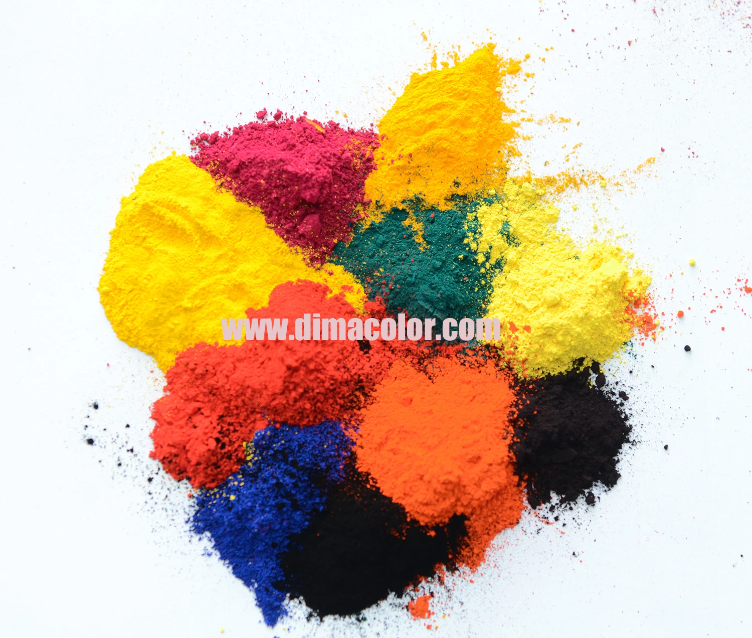 6PIGMENT POWDER.jpg
