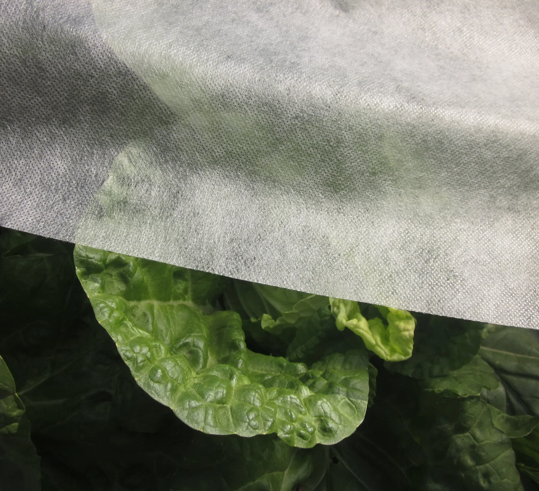 hydrophilic UV stabilized polypropylene spun bond non-woven fabric vegetable garden covers