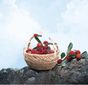 Summer ice Arbutus juice Grapefruit juice Pure Arbutus Sour plum Soup fruit fruit juice 310g/5 bottles