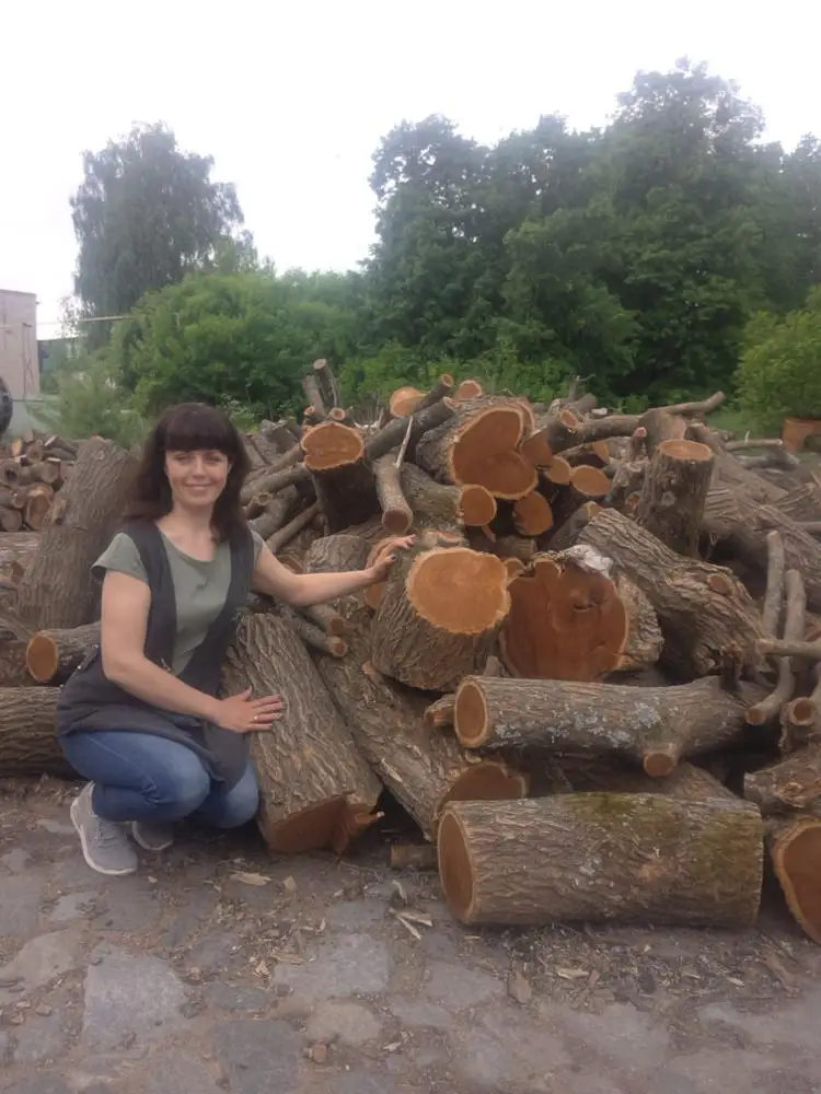 
Wood pellets for BBQ, smoking wood pellets 