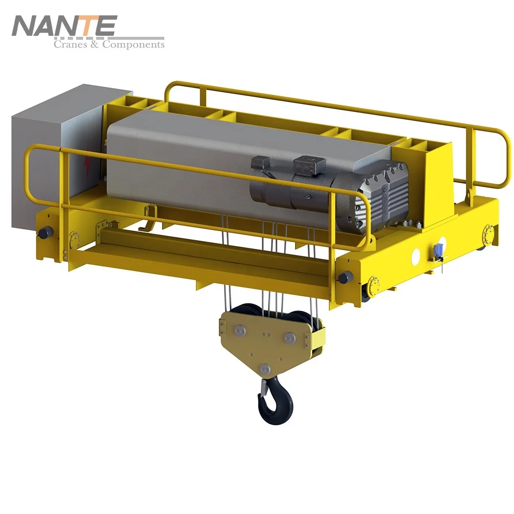 Professional Customized Heavy Weight Hoisting Double Hook for Crane Double Lifting Eot Crane Hook with Latch