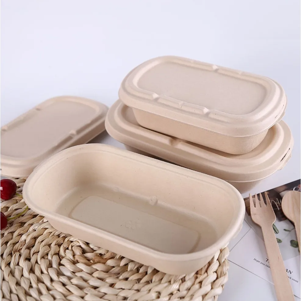 High Quality Wholesale Biodegradable Sugarcane Disposable Plates Lunch Trays Multi Compartments Bagasse Plate