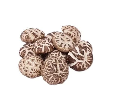 frozen mushroom best price high quality  for sale  mushrooms  grow shiitake mushroom