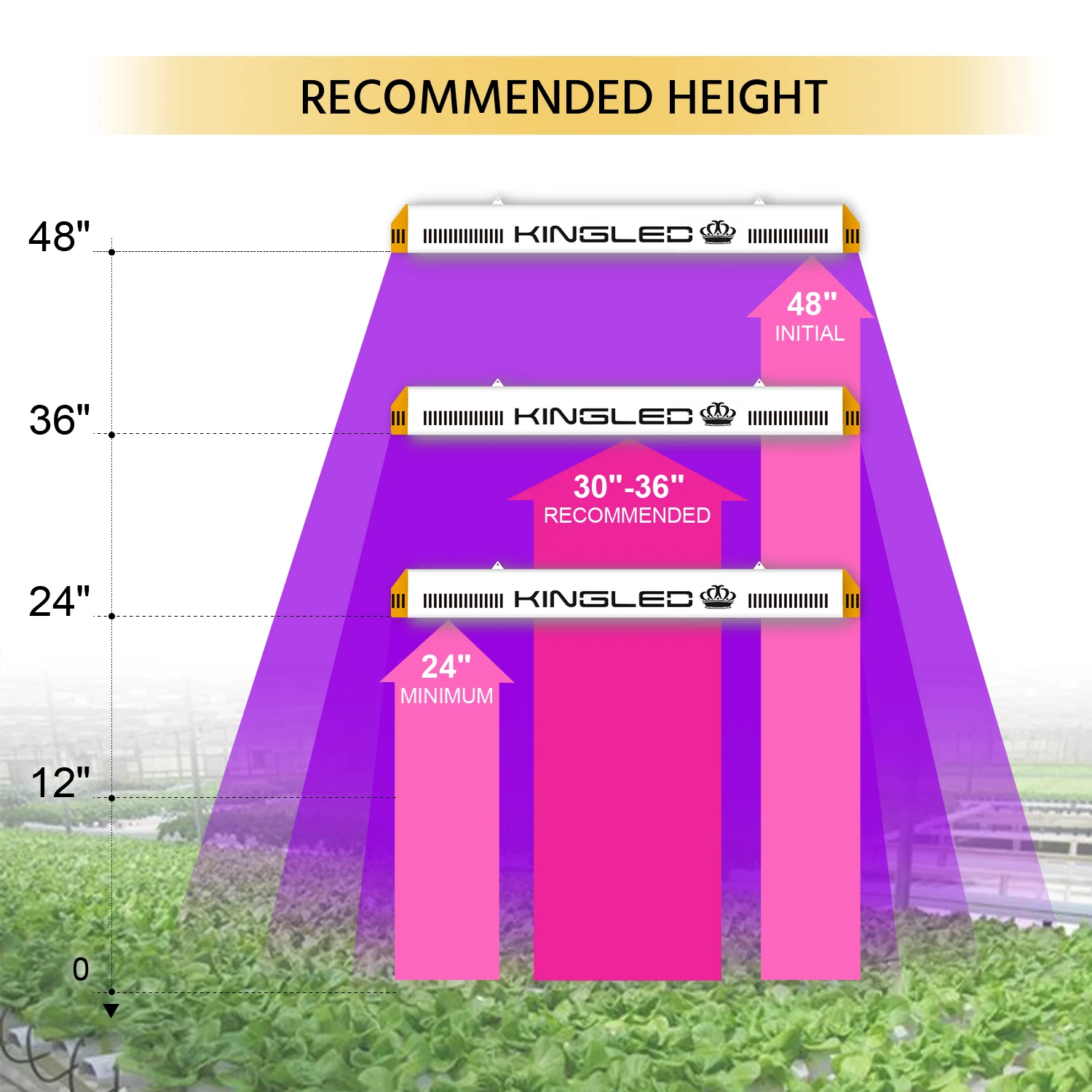 KINGLED Horiculture Greenhouse Hydroponic 2000W  Dual chips Full Spectrum Led Grow Light for indoor Plant Veg &Bloom