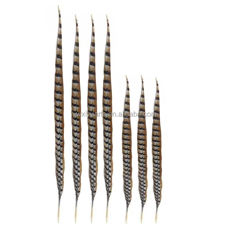 Natural Pheasant Feathers 10-160 cm Long Reeves Pheasant Tail Feathers for Carnival