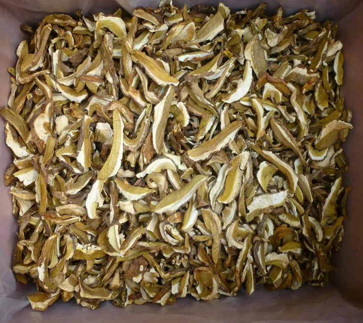 
Factory Price Premium Quality Bulk Dry Funghi Porcini Mushroom without Stem 