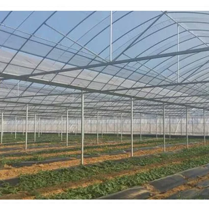 High Quality Tropical Multi Span Agriculture Greenhouse for Vegetable