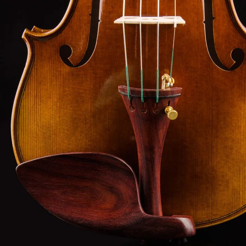 CHRISTINA Violin S500B  Best Brand Performing prices Free case string bow