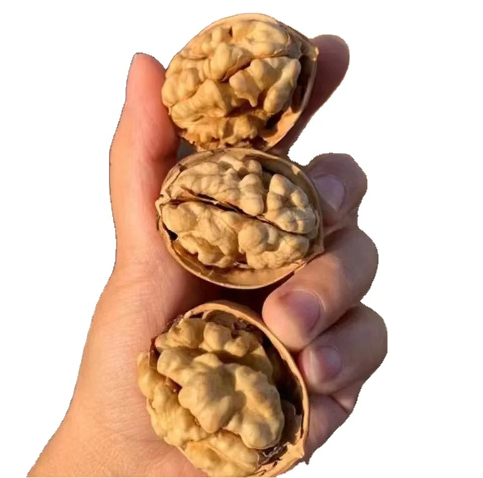 Factory Supply Wholesale Price Top Grade Raw Organic Extra Light Xinjiang Walnut Kernels