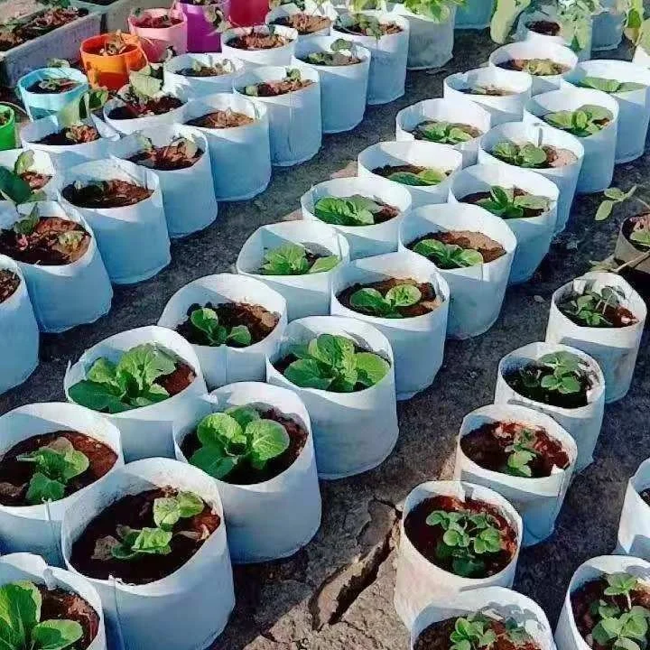 Custom environmentally friendly biodegradable planting bag transplant seedling pot planting bag thickened planting bag