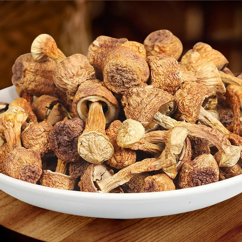 YINING Wholesale Natural Dried Agaricus Blazei High Quality magic mushroom