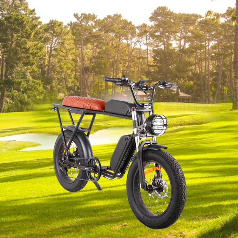 Velocipede с 48 В 7-ступенчатой электронной дроссельной заслонки 25 км/ч датчик скорости литиевая батарея опускающая трубка и двигатель задней ступицы