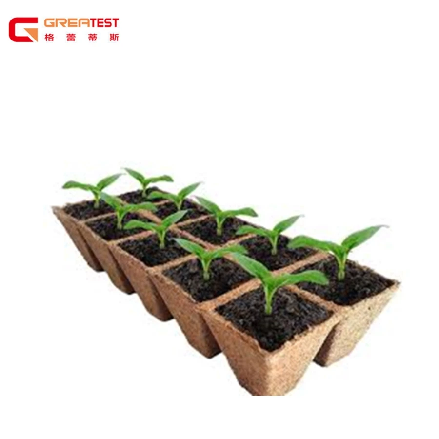 100% Eco-Friendly and Biodegradable Customized Paper Pulp Packaging