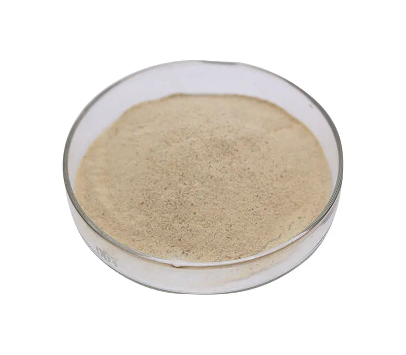 100% Natural Pumpkin seed extract powder pumpkin protein powder