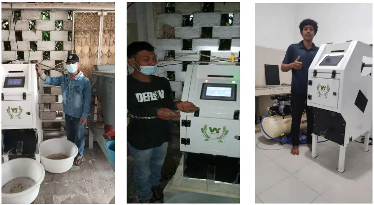 Wenyao separation equipment coffee bean color sorter Professional colour sorter manufacturer in China