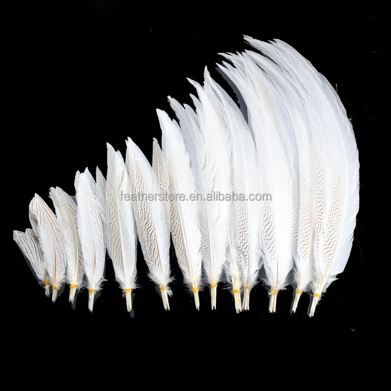 65-70cm Long White Silver Pheasant Tail Ostrich Feather Natural Pattern for Carnival Feather Costumes and Decorations or Crafts