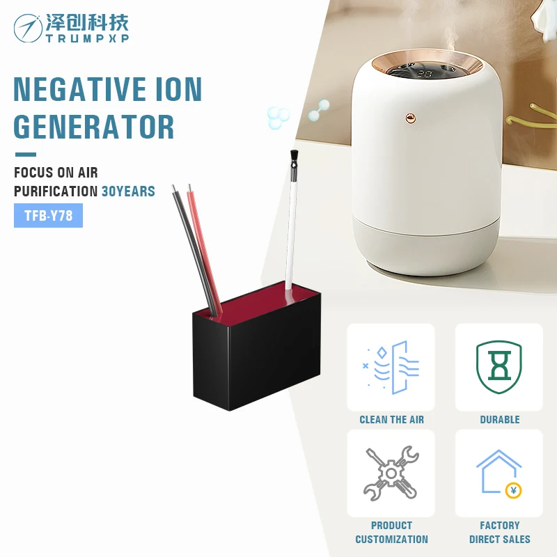 Easy Use bipolar Ionization 500mg per hour ionization negative ion generator anion generator
