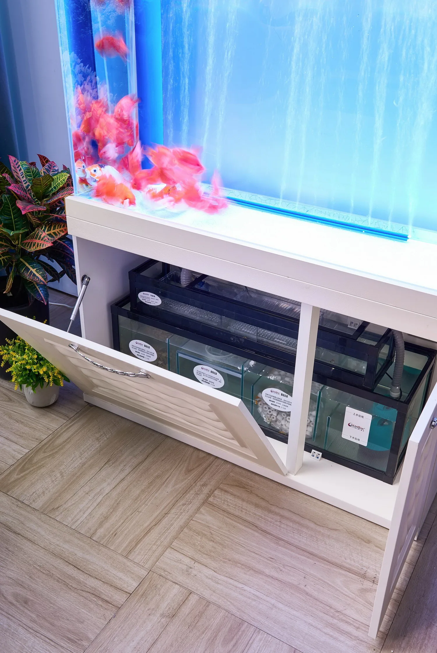 
European style white glass marine fish tank with bottom filter 