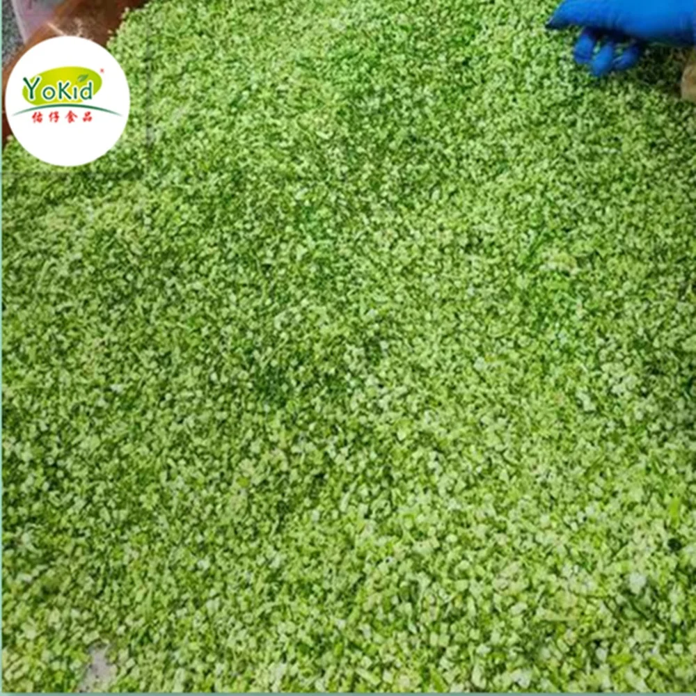 Высокое качество, оптовая продажа, оптовая продажа, свежий замороженный брокколи рис IQF