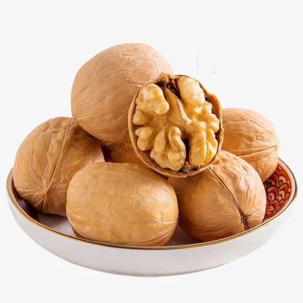 Привлекательная цена новый тип сухих фруктов грецких орехов ядра оптом