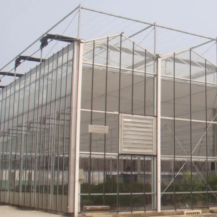 
Cheap price glass greenhouse factory direct sale with equipments keeping good condition for plants 