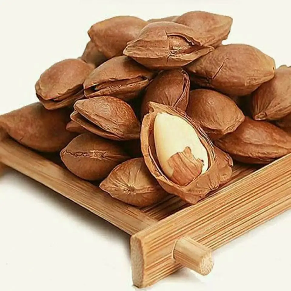 Apricot Kernels with Stone Removed Delicious Nuts for Snacking or Cooking