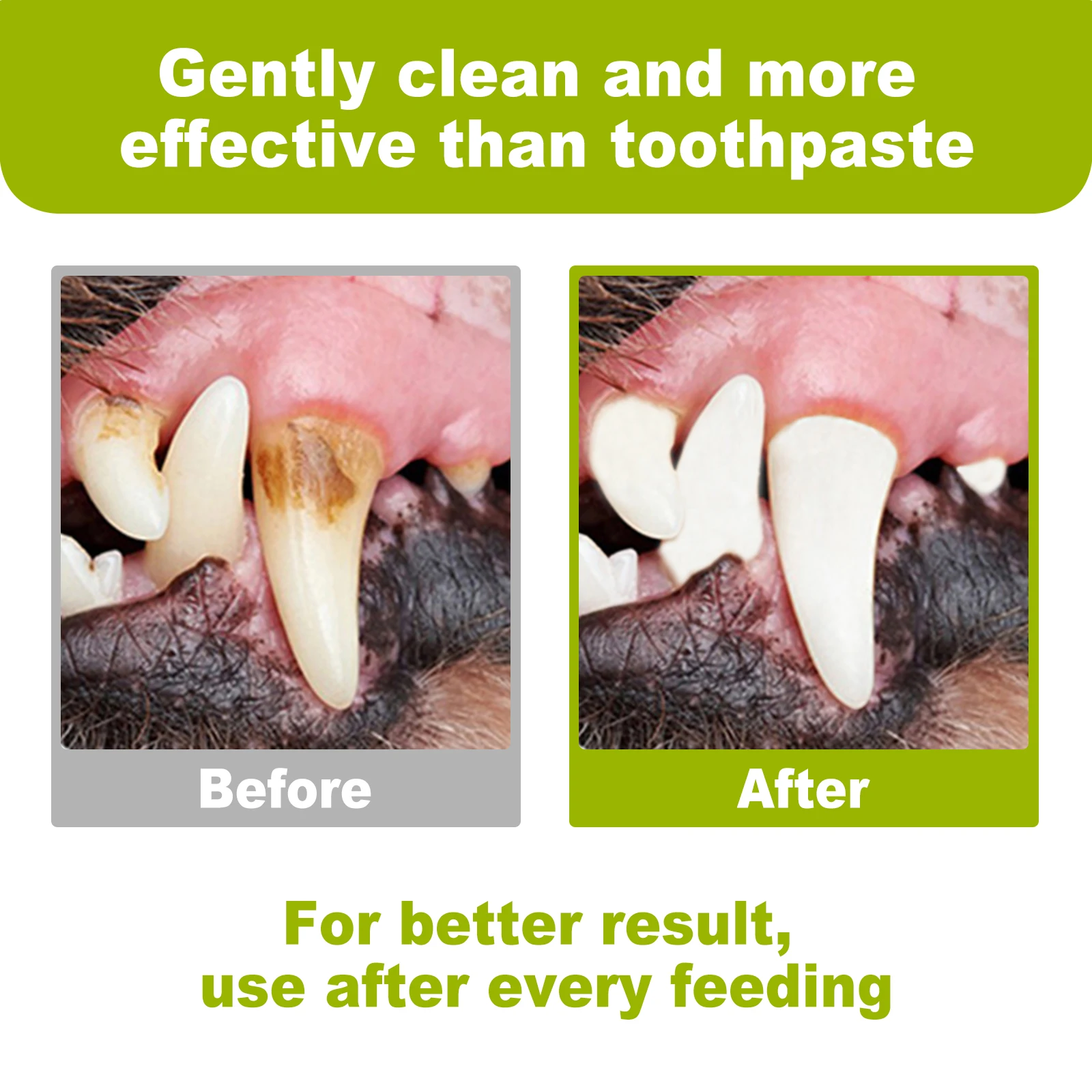 Dental Care Organic Dog Toothbrush Dental Cleaning Wipes