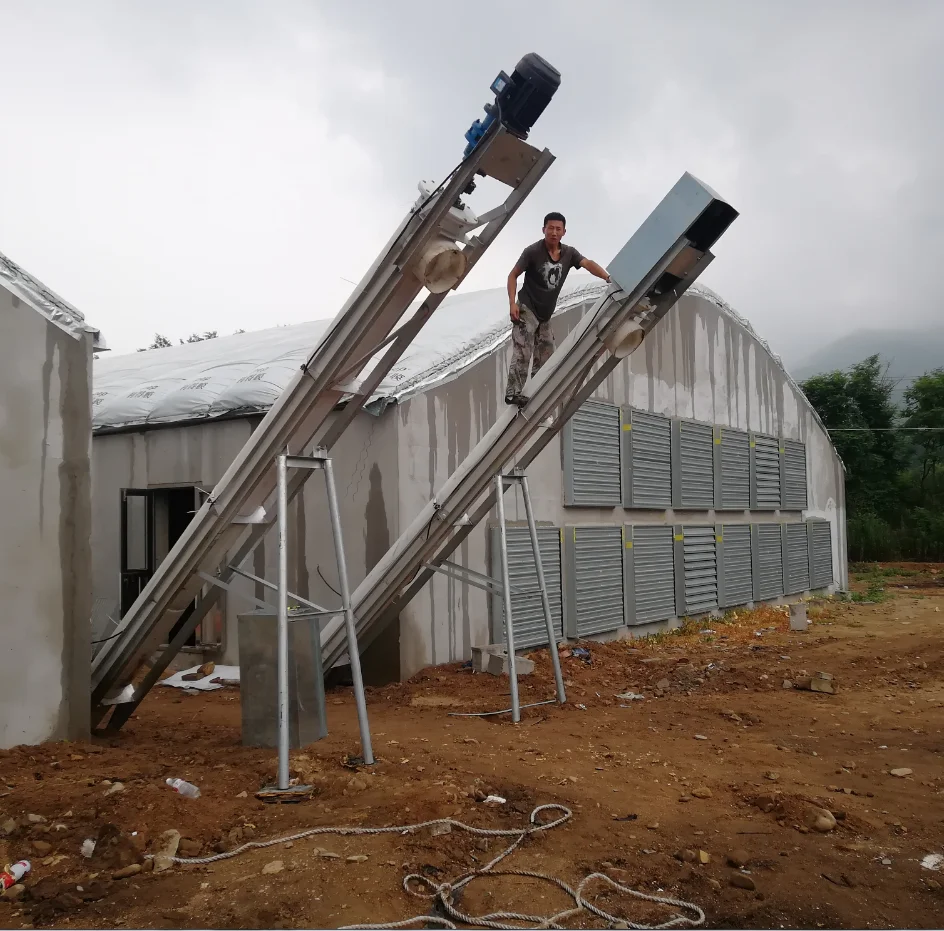 Advanced designing breeding chicken cage system for agricultural greenhouse