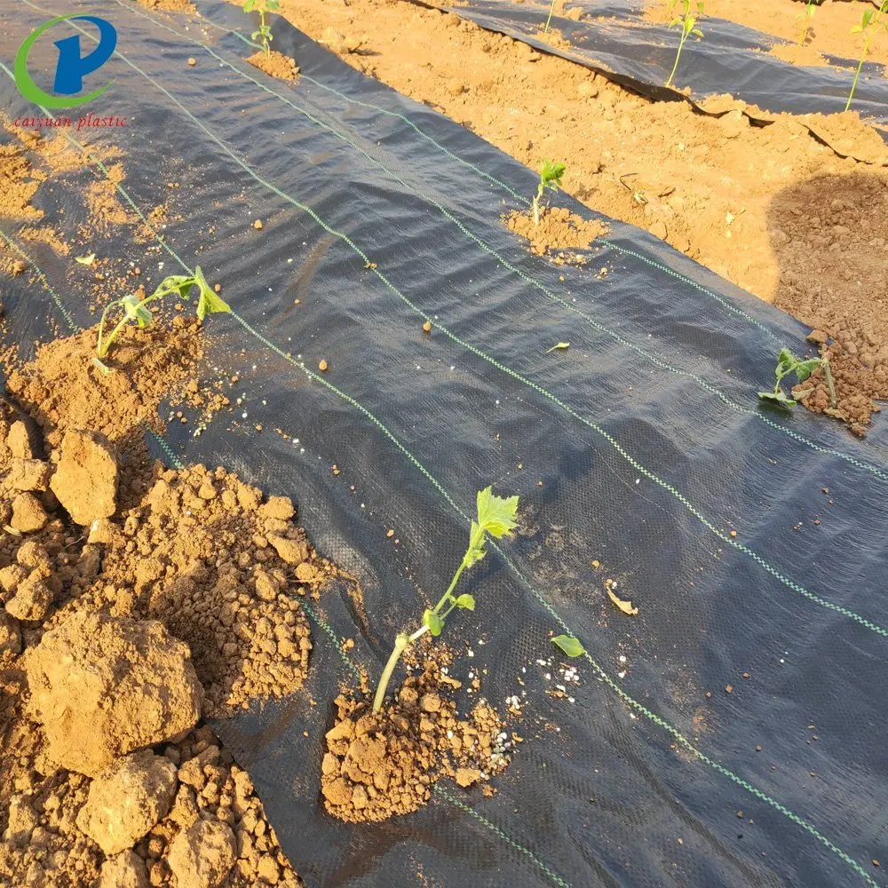 Weed control PP woven weed mat for agriculture and garden mat