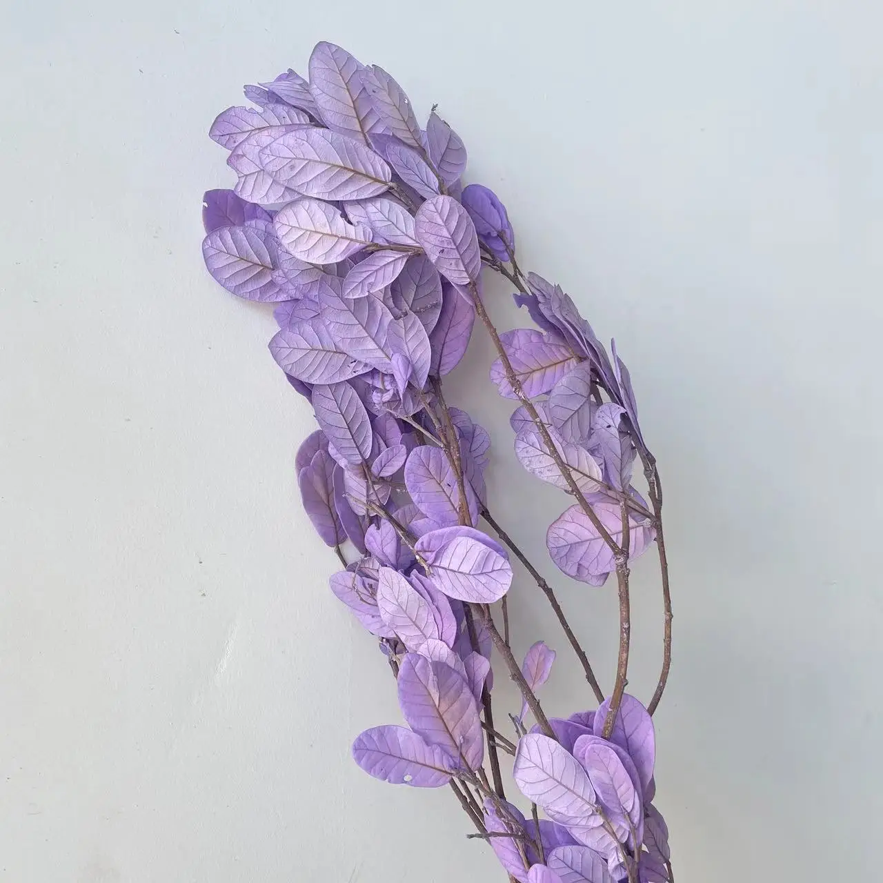 Factory directly wholesale preserved plants handmade leaves materials dried flower for wedding decoration