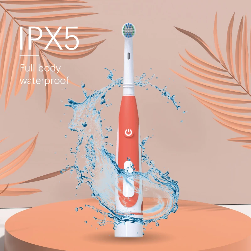 Factory Customized Compatible Oral Bristle Battery Rotate Dupont Nylon Soft Bristles Electric Tooth brush