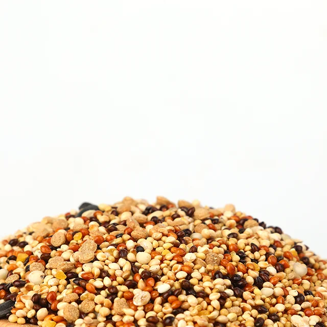 Complete Feed Keep Bones Healthy Bird Food For Melopsittacus Undulatus