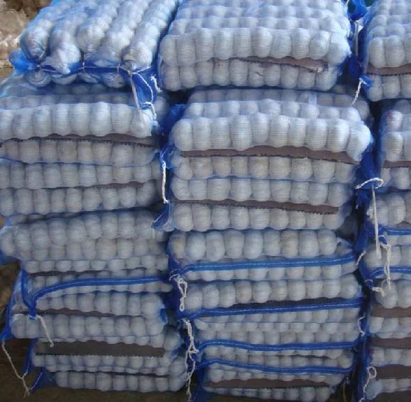 
buy discounts factory top quality fresh white garlic vegetables in stock 