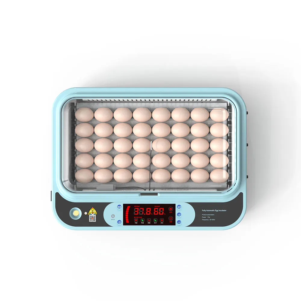 Promotion 98% Hatching Rate 64 PCS Chicken Egg Incubator Automatic Duck Chicken Quail Egg Incubator