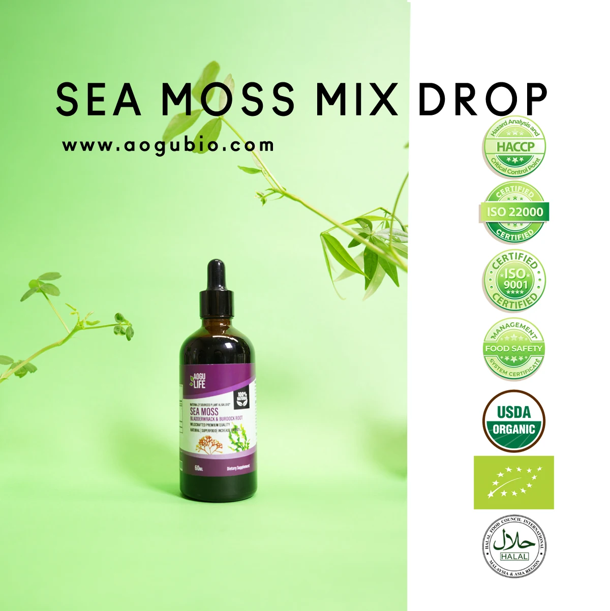 Wholesale Natural Organic Bee Pollen Rich in Vitamins Minerals High Protein No Additives Bee Pollen Powder