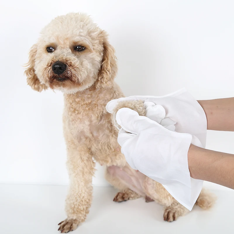 2023 hot new product herbal plant essence cat and dog bathing clean disposable gloves pet spa wipes bathing clean gloves