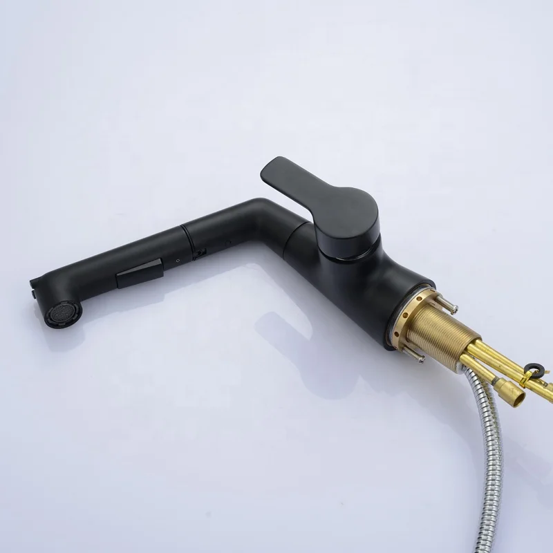 Bathroom Sink Faucet with Pull Out Sprayer Hand Shower Basin Mixer with Two Types of Water Jets