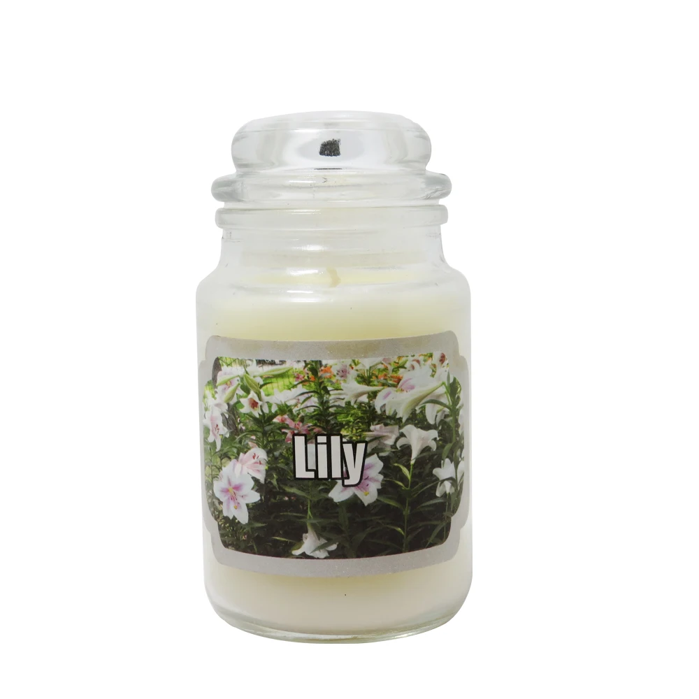 Scented Glass Candle with Colorful Soy Wax Add Your Privita Label