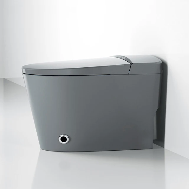 automatic water intelligent wc toilet bowl ceramic 120v smart toilet gray