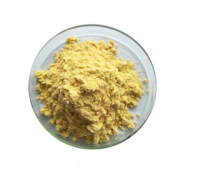 Hot Sales Sea Buckthorn Freeze-dried Powder with Low Price