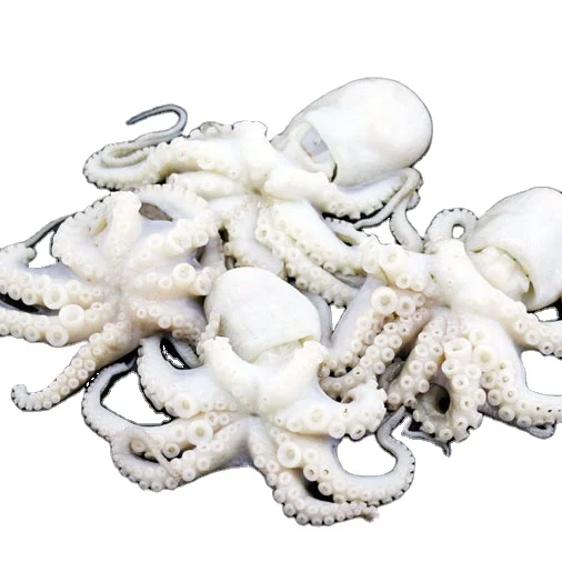China Flower Shaped Octopus Baby Frozen BQF Pack or IQF Pack Baby Octopus Wholesale Bag Frozen 340g Wild Small Frozen Octopus