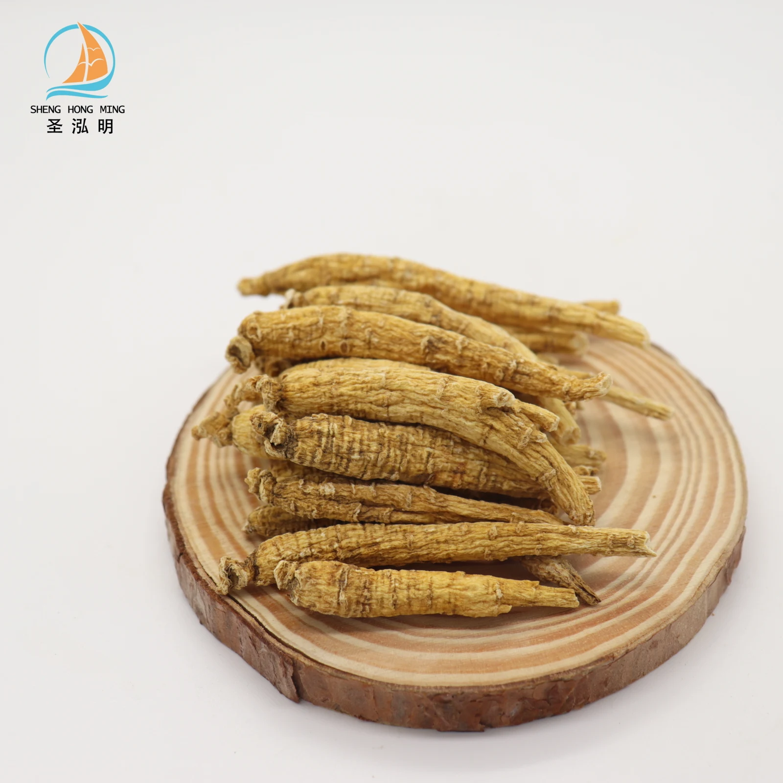 Wholesale Pure Natural Fresh American Ginseng panax quinquefolius with good price